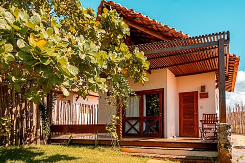 Patio, Garden, Garden view