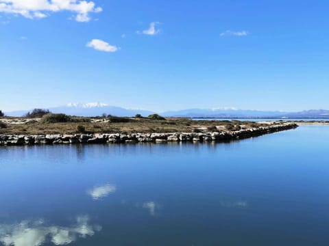 Résidence Ile Des Pecheurs - Maisons & Villas pour 6 Personnes 114 Villa in Le Barcarès