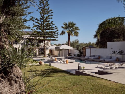 Garden, Garden view, Swimming pool, sunbed