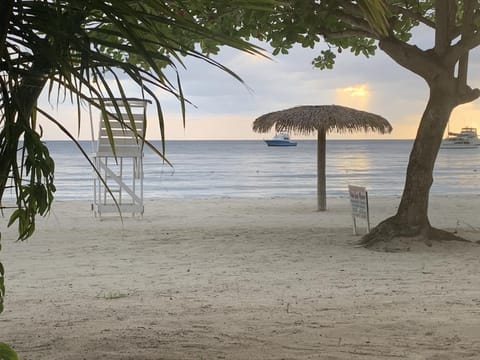 Relax in Jamaica - Enjoy 7 Miles of White Sand Beach! villa Villa in Westmoreland Parish