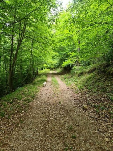 Natural landscape, Hiking