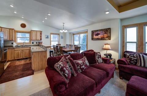 Quandary Vista Townhome Incredible Mountain Views with Hote Tub House in Blue River