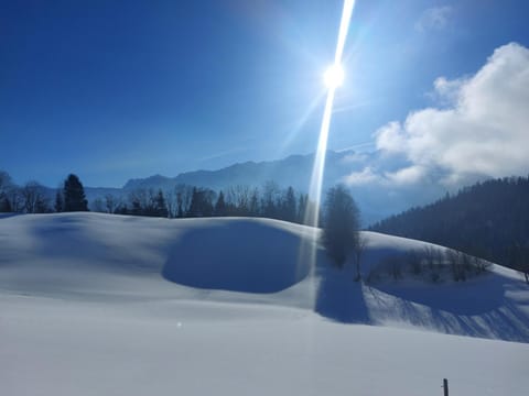 BERGapart Götschl Rettenschöss Wohnung in Walchsee