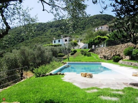 Garden, Pool view, Swimming pool