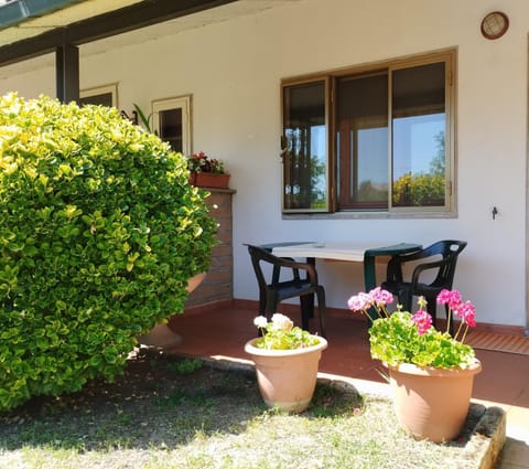 Property building, Garden, Dining area, Garden view