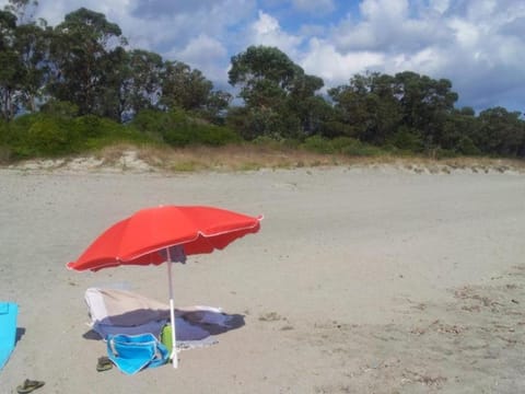 Appartement T3 avec terrasse en bord de mer Condo in Linguizzetta