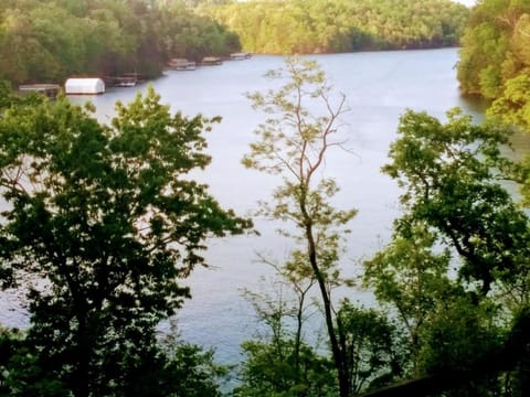 Lake views galore from balconies right on the lake and drought-proof deep water Chalet in Lake Lanier