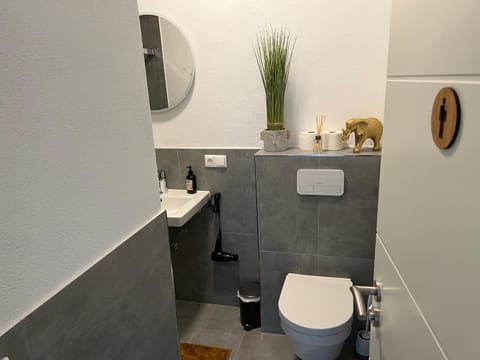 Allgäu SPA House Apartment in Immenstadt