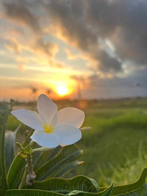 Natural landscape, Sunset