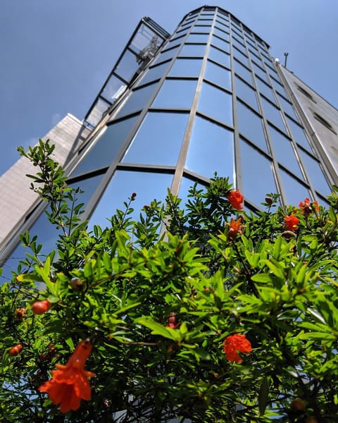 Property building, Facade/entrance