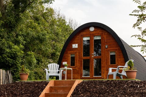 Ivy hill Glamping Pod Apartment in County Clare