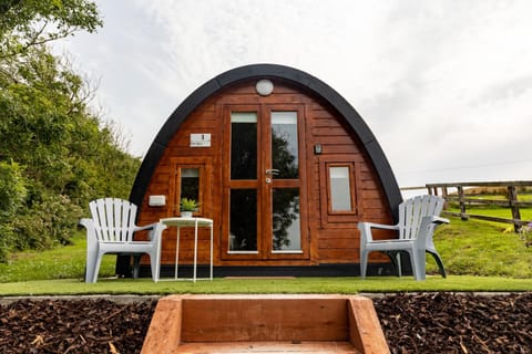 Ivy hill Glamping Pod Apartment in County Clare