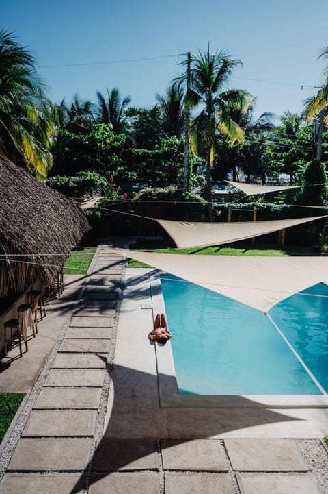 Day, Garden, Garden view, Pool view, Swimming pool