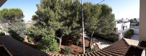 Balcony/Terrace, Garden view