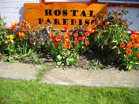 Hostal Parediso Hostel in Punta Arenas