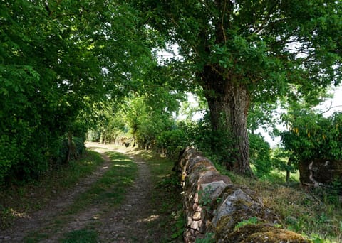 Off site, Natural landscape, Hiking