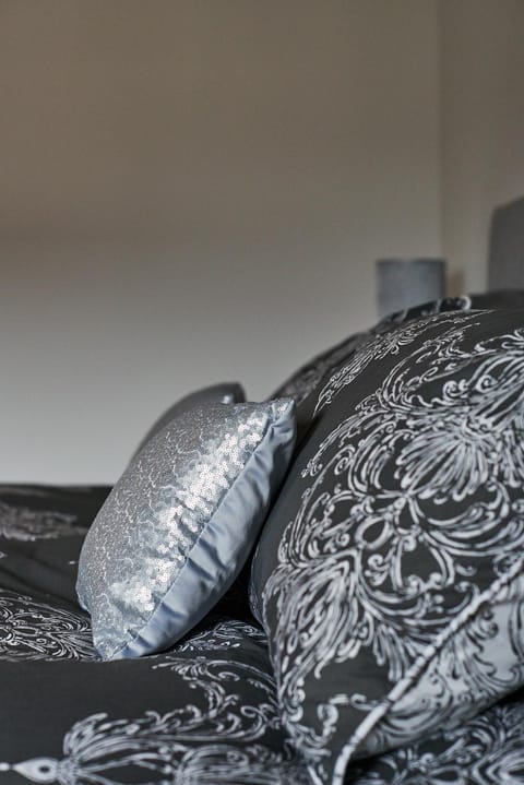 Aviemore apartment (pet friendly) - sleeps 4 Apartment in Aviemore