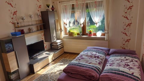 Appartement mit Herz Apartment in Thuringia, Germany