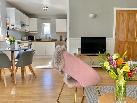 TV and multimedia, Kitchen or kitchenette, Living room, Photo of the whole room, Seating area, Dining area, minibar, pet friendly, stove