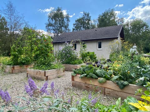Property building, Garden, Garden view