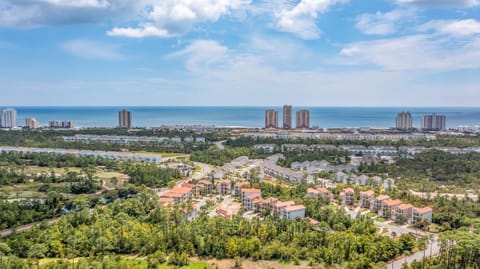 Arborgate Sunkissed Seahorse 13987 Hanging Branch By Pkrm House in Perdido Key