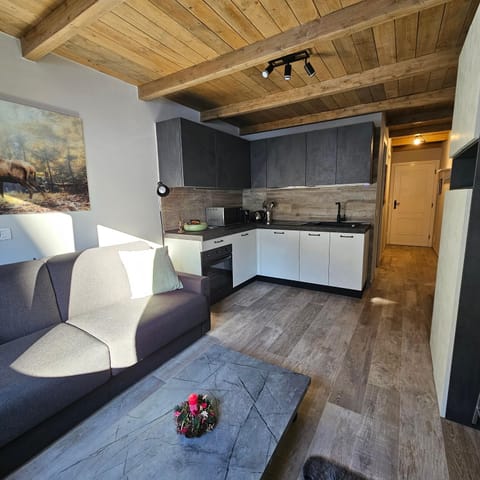 Kitchen or kitchenette, Living room, Seating area, oven, stove