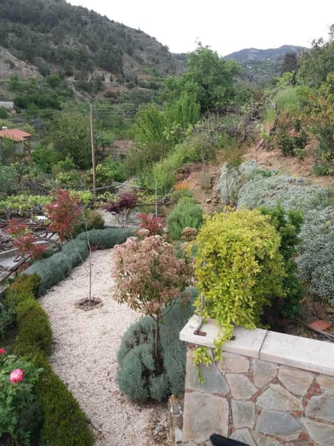 Garden, Garden view