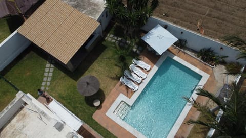 Patio, Garden view, Pool view, Swimming pool, sunbed