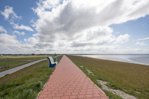 Direkt am Deich - Ferienwohnung Amrum im Gästehaus Am Badedeich Apartment in Dagebüll