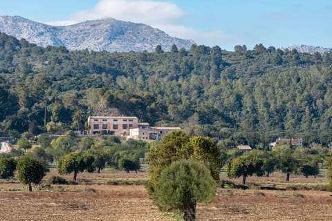 Finca Son Cladera Farm Stay in Pla de Mallorca