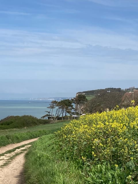 Le petit dieppois Apartment in Dieppe