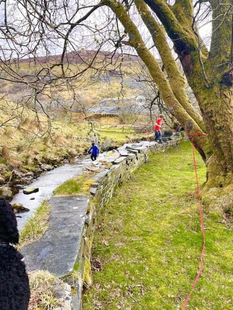 Natural landscape, Garden, Garden view, River view