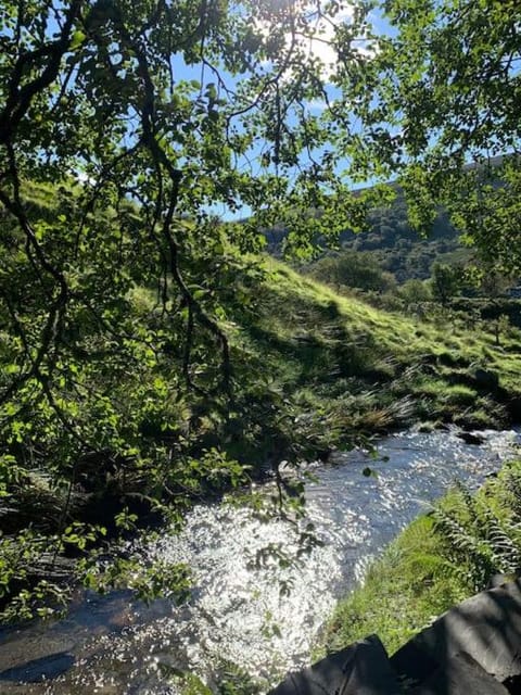 Natural landscape, Garden view, River view