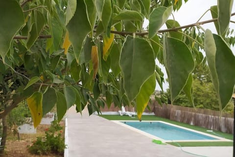 Garden, Pool view