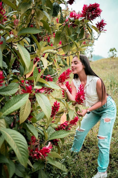 Chamí Glamping House in Manizales