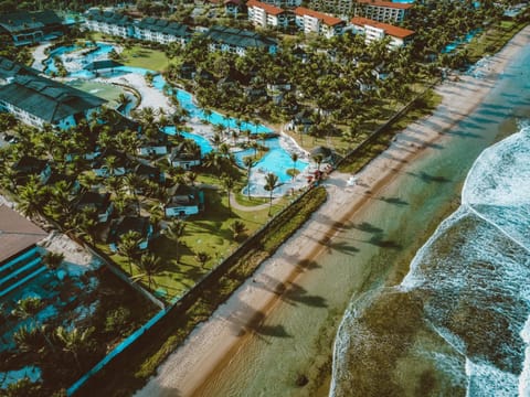 Bird's eye view, Garden view, Sea view