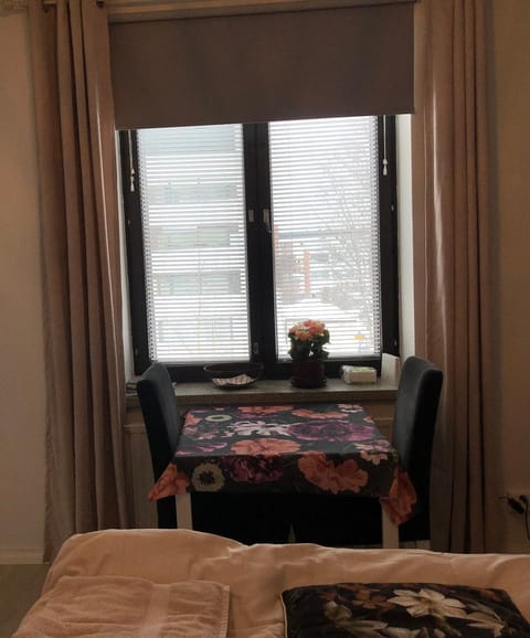 Studio in the city center FREE PRIVATE PARKING Wohnung in Kemi