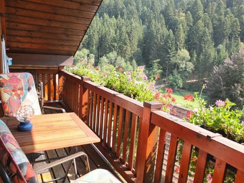 Balcony/Terrace, Mountain view