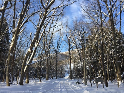 Maison de Sasagawa Bed and Breakfast in Hakuba