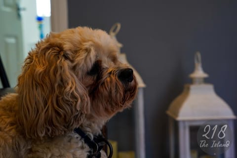 The Cabin, Glan Gwna Cabin in Wales