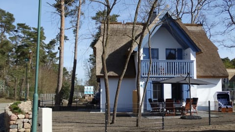 Ferienhaus Silbermöwe 136 qm mit Sauna Kamin 2 Terrassen House in Zirchow