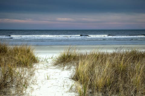 Surf Court Villas Apartment in South Forest Beach