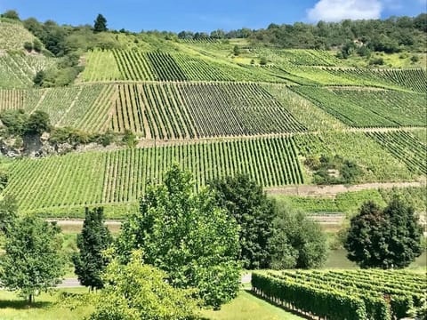 Weinlofts an der Mosel mit E10 Ladestation Apartment in Trier-Saarburg