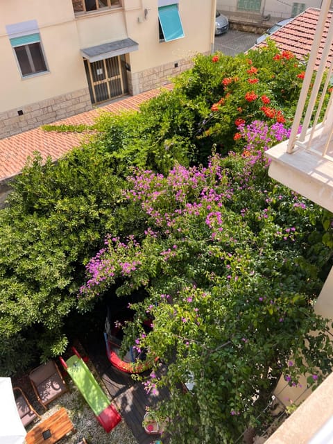 B&B Viale Italia 22 Bed and Breakfast in Follonica