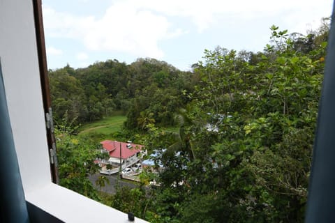 Garden view, Street view