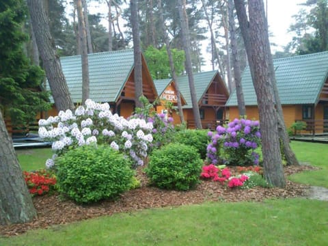 Property building, Natural landscape, Garden, Garden view