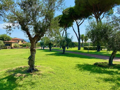 Spring, Day, Natural landscape