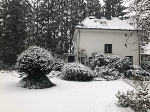 Property building, Winter