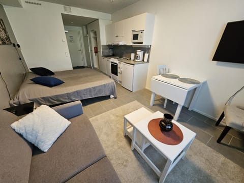 Levillenet SkiStar Superior Studios Apartment in Lapland