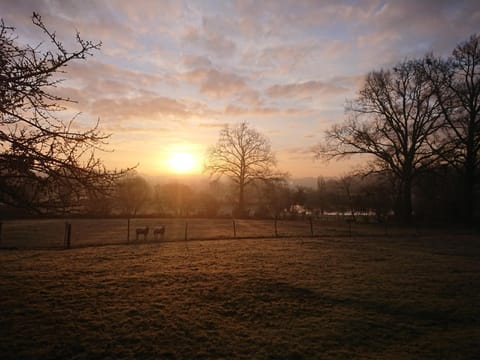 Natural landscape, Sunrise, Sunset